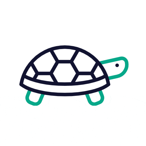 1200-turtle-outline.gif