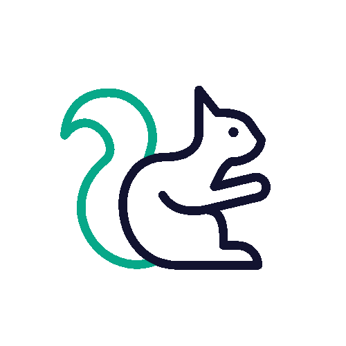 1208-squirrel-outline(1)